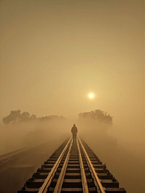 A beautiful photography of bangladesh railway railline during winter. Passport Template, Amazing Nature Photos, Aircraft Pictures, Photoshop Backgrounds, Winter Pictures, Aesthetic Iphone Wallpaper, Acrylic Painting Canvas, Beautiful Photography, Amazing Nature