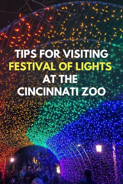 Tips For Visiting Festival of Lights at the Cincinnati Zoo What you need to know before your visit to the Cincinnati Zoo for the Festival of Lights this holiday season. #Cincinnati #OhioTravel #holidaytravel #festivaloflights Zoo Marketing, Outdoor Santa, Polar Express Train Ride, Ohio Vacations, Best Christmas Light Displays, Adventure Mom, Zoo Lights, Cincinnati Zoo, Best Christmas Lights