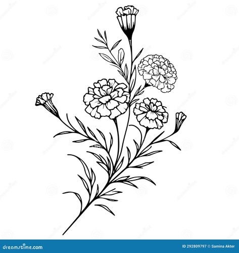 Marigold Drawing Tattoo Ideas, Mexican Marigold Tattoo, Marigold Doodle, Marigold Flower Tattoo Black And White, Marigold Line Drawing, Zinnia Flowers Drawing, Marigold Outline, Marigold Sketch, Mexican Marigolds