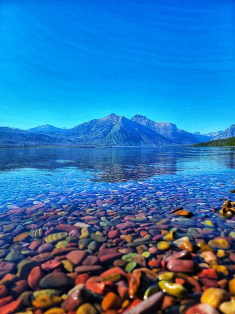 Lake Mcdonald, Montana. Rainbow colored rocks. Montana Rainbow Rock, Lake With Colored Rocks, Rainbow Lake Montana, Iceberg Lake Montana, Montana Rocks, Montana Itinerary, Lake Mcdonald Montana, Colored Rocks, Flathead Lake Montana