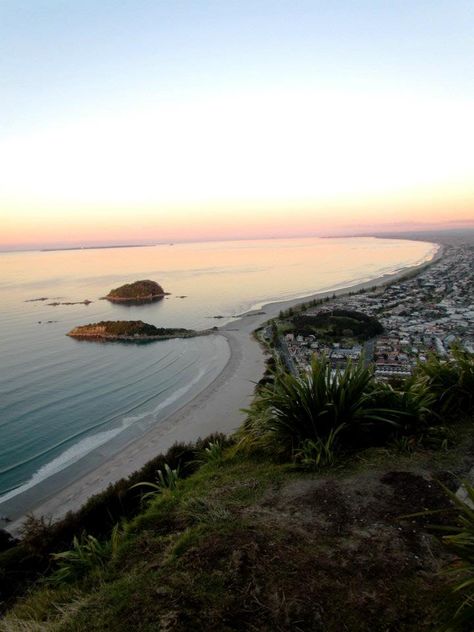 Mount Maunganui, New Zealand Mount Maunganui New Zealand, Chicken Joe, Mount Maunganui, Milford Sound, 2025 Vision, Insta Feed, New Zealand Travel, Queenstown, Christchurch