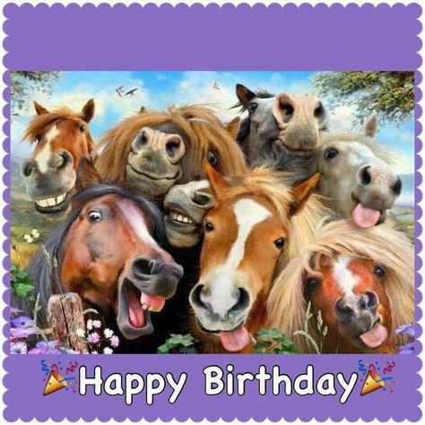 Auf Bing von www.pinterest.com gefunden Laughing Horse, Funny Horses, Horse Birthday, Happy Birthday Meme, Funny Horse, Birthday Meme, Happy B Day, Happy Birthday Quotes, Birthday Pictures