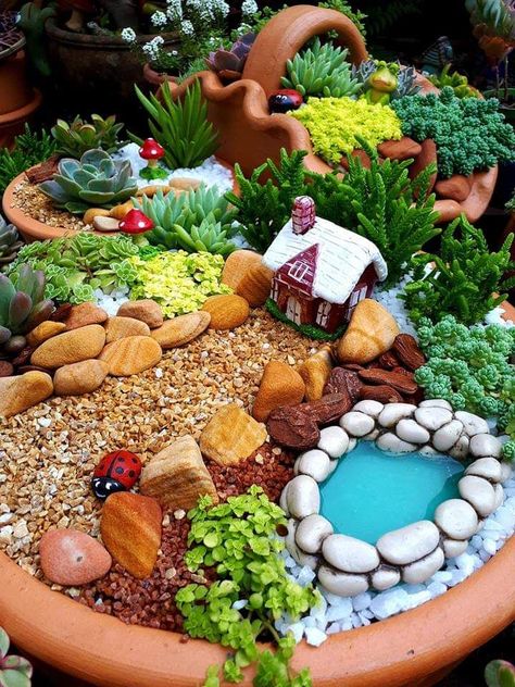 Fairy Garden Pots, Indoor Fairy Gardens, Fairy Garden Plants, Fairy Garden Furniture, Succulent Garden Design, Succulent Gardens, Fairy Garden Designs, Fairy Garden Crafts, Succulent Garden Diy