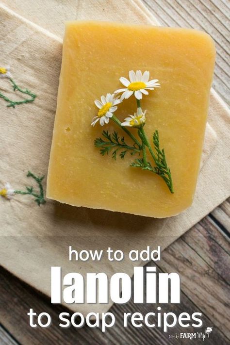 How to add lanolin to soap recipes - Learn how to adjust and add lanolin to soap recipes, plus guidelines for using it. Honey Soap Recipe, Cold Process Soap Recipes, Fancy Soap, Recipes Learn, Soap Making Recipes, Diy Skin Care Recipes, Soap Recipe, Soap Making Supplies, Honey Soap