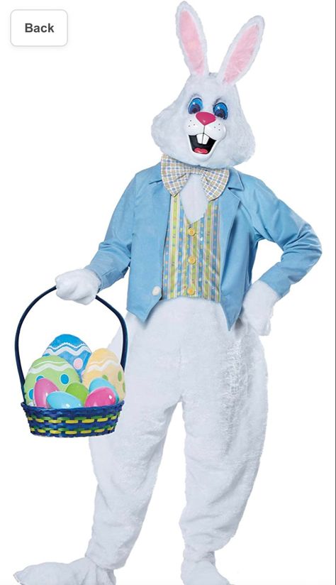 Easter bunny costume Easter Bunny Costume, Easter Costume, Adult Easter, Rabbit Costume, California Costumes, Bunny Head, Bunny Costume, Costume Themes, Plaid Bow