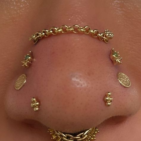 Rinku 🇳🇵🇸🇬 on Instagram: "Here’s a glimpse of some of nostril piercings ✨ - from fresh piercings to fully healed beauties ready for chains.✨" Nostril And High Nostril Piercing, High And Low Nostril Piercing, Unique Nostril Piercing, 3rd Eye Piercing, Nose Piercing Each Side, Septril Piercing Nose, Lip Piercing Scar, Forward Nostril Piercing, Nasallang Piercing Chain