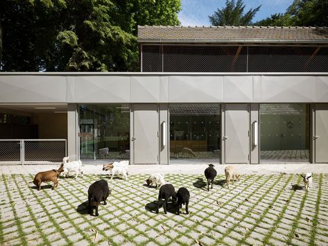 Strasbourg Zoo's Pedagogical Farm and Visitor Center / FREAKS Architecture Dog Spa, Tourist Center, Shelter Design, Healing Garden, Metal Cladding, Spring Animals, Rabbit Cage, Zaha Hadid Architects, Cat Cafe