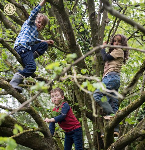 Children love to climb trees - they appear to be magnetically pulled upwards when they discover a branch beckoning up to them. Happily, it is really good for them!  Climbing trees helps children develop physical strength, gross motor-skills, an enhanced vestibular sense, focus, confidence and resilience. Climb A Tree, Climbing Trees, Canadian Wildlife, Kids Climbing, Group Poses, Farm Lifestyle, Climb Trees, Forest School, Human Poses Reference