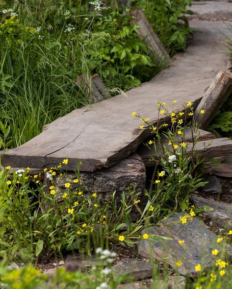 Wildflower Garden Bed, Britain Landscape, Rustic Garden Design, Garden Wild, Naturalistic Garden, Chelsea Garden, Wildflower Garden, Woodland Garden, Chelsea Flower