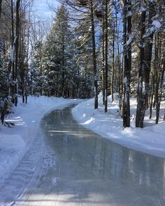 Winter Things, Winter Vibes, Winter Aesthetic, Pretty Places, Cold Outside, Let It Snow, Wonderful Time Of The Year, Ice Skating, In The Woods