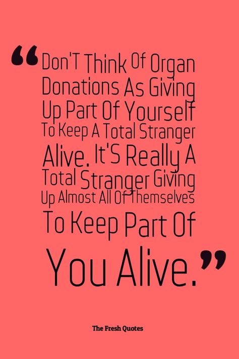 Organ Donor Quotes, Organ Donation Quotes, Organ Donation Poster, Donation Quotes, 16 Quotes, Organ Donation Awareness, Fresh Quotes, Donate Life, Organ Donor