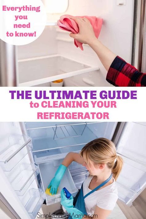 How To Clean Refrigerator, Fridge Cleaning Hacks, Remove Mold, Clean Refrigerator, Fridge Shelves, Clean Fridge, Best Cleaner, Easy Cleaning Hacks, Diy Cleaning Solution