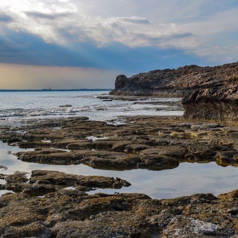 Black Bird Tattoo, Rocky Shore, Website Backgrounds, Tide Pools, Never Grow Up, Blue Hour, Calm Water, Archipelago, Us Images