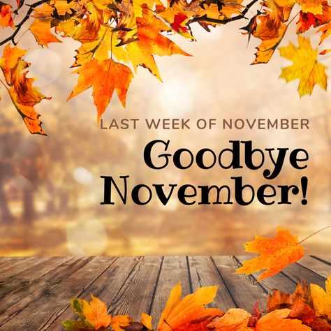 What were you thankful for this month? As we say goodbye to November, what are you looking forward to in December? Goodbye November, Hello Holiday, Hello October, Work Routine, Happy New Year Wishes, Facts For Kids, Fall Back, New Year Wishes, Fall Foliage