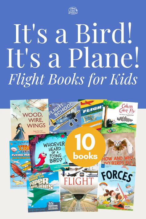 If you have a child who loves all things airplanes and jets, check out this Teacher Selected book list all about Flight! There is more to know than you might first think - this list also includes information on how birds fly! Perfect for a unit study on flight! Flight Unit Study, Airplane Inquiry Kindergarten, Bird Learning To Fly, How Do Birds Fly, When To Book Flights, When Is The Best Time To Book A Flight, Toddler Science Experiments, Elementary Books, Summer Reading Program