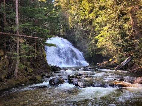 Get ready for a short and sweet adventure that has a BIG reward at the end. The Snow Falls Trail near Bonners Ferry, Idaho is an easy waterfall hike that is bound to leave you in awe by the end of it. Bonners Ferry Idaho, Explore Idaho, Waterfall Hike, Sawtooth Mountains, West Coast Trail, Utah Hikes, Waterfall Hikes, Colorado Hiking, Ice Climbing