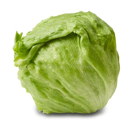 Iceberg Salad, Head Of Lettuce, Iceberg Lettuce, Fresh Green, Lettuce, Nutrition, Salad, Stock Photos, Green