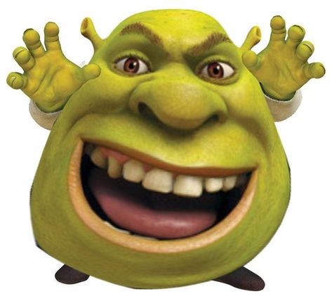 Shrek, Memes, Funny, Green