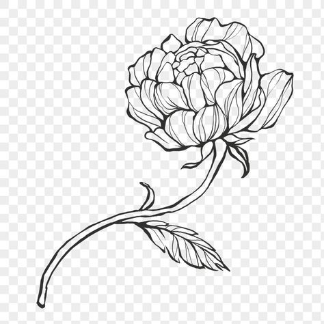 Line Art Peony, Peony Line Art, Peony Clipart, 90s Graphic Design, Logo Lockup, Graphic Design University, Graphic Design 101, Mockup Logo, Modeling Design