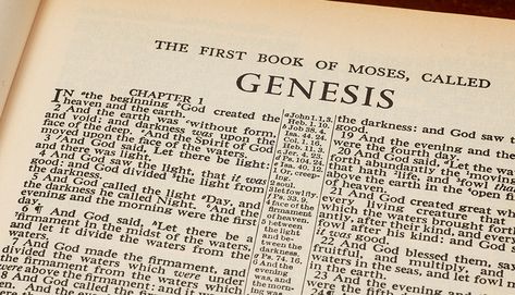 Is Genesis poetic? - creation.com Genesis Book, Noah Flood, The Falling Man, Literary Genre, Sabbath Day, Ancient Near East, Genesis 1, Jesus Resurrection, Scientific Method