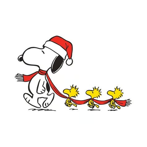 Snoopy Images, Peanuts Snoopy Woodstock, Snoopy Wallpaper, Cute Christmas Wallpaper, Peanuts Christmas, Snoopy Woodstock, Snoopy Love, Charlie Brown Christmas, Snoopy Christmas