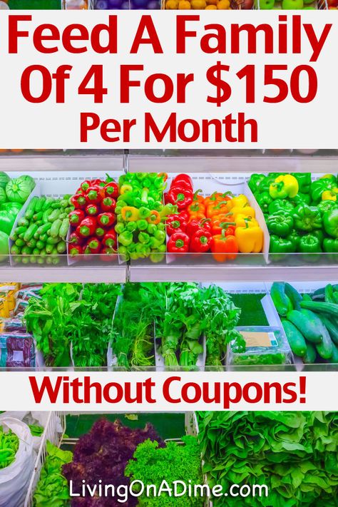 Here is a sample meal plan and shopping list showing how to feed a family of 4 for just $150 per month without using coupons and without shopping at Aldi, since there is no Aldi near me. I used actual store prices from current store ads when preparing this plan. Shopping At Aldi, Cheap Grocery List, Casual Photoshoot, Frugal Meal Planning, Recipes On A Budget, Aldi Meal Plan, Cheap Groceries, Sample Meal Plan, Monthly Meal Planning