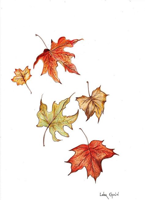 Leaves Falling Drawing, Falling Drawing, Fall Leaves Drawing, Beautiful Pencil Drawings, Leaves Sketch, Fall Drawings, Autumn Leaves Art, Easy Drawing Steps, Leaves Falling