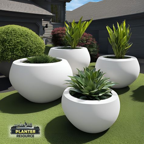 Are you having trouble matching your planters with your modern decor? Our fiberglass planters come in various sizes, shapes, and colors, perfectly complementing any contemporary setting.  Enhance your decor with versatile and aesthetically pleasing fiberglass planters. Modern Potted Plants, Japandi Garden, Nyc Flower Market, Patio Planter Boxes, Extra Large Vase, Grass Plants, Large Outdoor Planters, Side Yard Landscaping, Courtyard Gardens Design