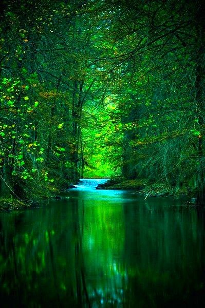 Pure Beauty. Loooove the green! Green Trees, Magical Places, Pretty Places, Amazing Nature, 그림 그리기, Natural World, Beautiful World, In The Middle, Beautiful Landscapes