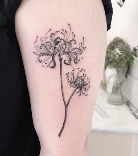 34 Spider Lily Tattoo Ideas to Inspire You in 2023 Flower Tattoo Ideas Men, Spider Lily With Spider Tattoo, Japanese Spider Lily Tattoo Design, Black And White Spider Lily Tattoo, Spider Lily Tattoo Design Black, Spider Lilly Tatoos Black, Spider Lily Tattoo Black And White, Spider Flowers Tattoo, Red Spider Lily Tattoo Black