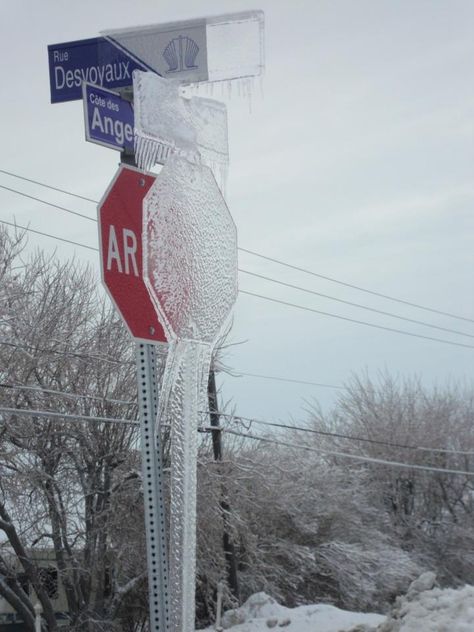 <b>Because Canada.</b> Meanwhile In Canada, Canadian Things, Wow Photo, Stop Sign, Make Me Smile, Cool Pictures, Lego, Funny Pictures, Funny Memes