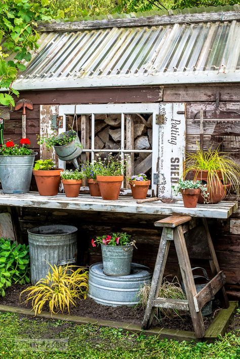 The shed gets old sign styled Potting Shed shutters, and new potted flowers for summer! With Funky Junk's Old Sign Stencils funkyjunkinteriors.net Potting Bench Ideas, Potting Bench Plans, Rustic Shed, Garden Shed Ideas, Shed Decor, Shed Ideas, Potting Tables, Potting Table, Funky Junk Interiors