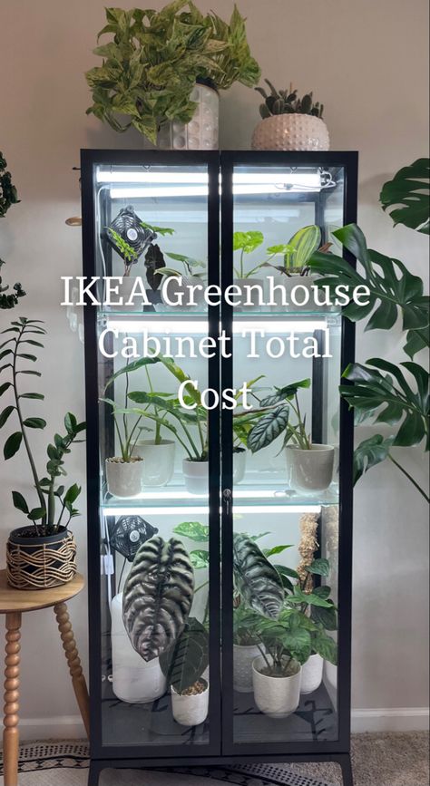 Here is how much it costed me to set up my IKEA Greenhouse Cabinet / IKEA Milsbo Tall Cabinet for my House Plants! Ikea Cabinet Plant Hack, Plant Green House Cabinet, Ikea Cabinet For Plants, Indoor Plants Cabinet, Green House Inside Home, Ikea Hack Greenhouse, Ikea Glass Cabinet Plants, Ikea Shelf Plants, Detolf Greenhouse Cabinet