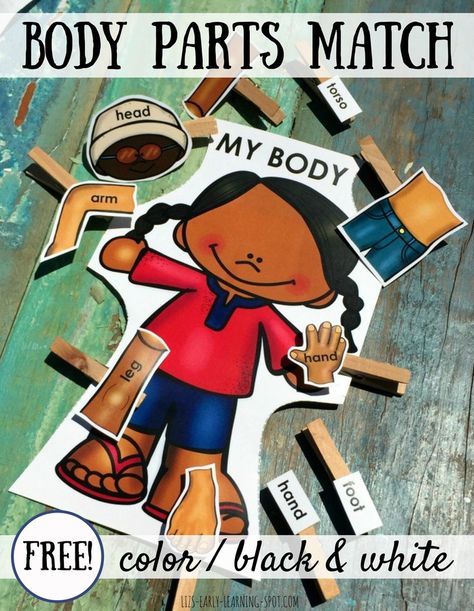 This simple activity is great for reinforcing knowledge of basic body parts, whether kids are reading or not! Easy to differentiate for different abilities. My Body Books For Preschool, Science Tools Activities, My Body Parts, Prek Lessons, Body Parts Theme, Body Parts Preschool Activities, Body Parts For Kids, Morning Bins, Body Preschool