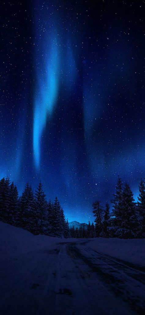 Aurora Borealis Aesthetic, Northern Lights Wallpaper, Northern Lights Photography, Aurora Borealis Northern Lights, Pretty Landscapes, Pretty Wallpapers Backgrounds, Travel The World, Landscape Wallpaper, Nature Aesthetic