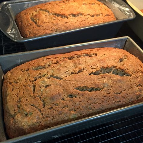 Green Tomato Bread Green Tomato Casserole Recipe, Green Tomato Bread Recipe, Green Tomato Bread, Green Tomato Pie, Green Tomato Relish, Lamb Patties, Canning Tomatoes Recipes, Beans And Cornbread, Green Tomato Recipes