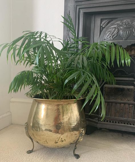 Wonderful large antique Victorian brass planter on three lion feet, makes a real statement piece for your plants, I just love the raised lion feet which give it a nice bit of height. #brassware #sourcingantiques #brassplanter #victorianhouse #victorianplanter #antiqueplanter #houseplants #thesalvagehutetsyshop #myetsyshop #vintagefinds #vintageforsale #vintageinteriors #interiordesigner #victorianhouseinteriors #victorianhousedecor Victorian House Decor, Corner Of A Room, Victorian House Interiors, Antique Planter, Brass Planter, In The Corner, Vintage Interiors, Vintage Garden, Victorian Homes