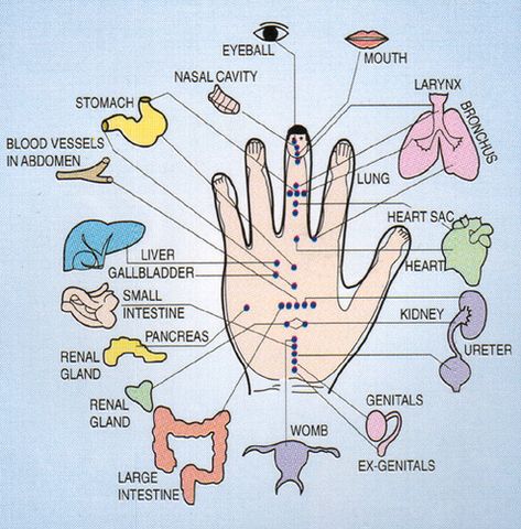 pressure points on hands | refexoligy Reflexology Pressure Points, Foot Detox Soak, Reflexology Points, Reflexology Foot Chart, Foot Reflexology Massage, Hand Reflexology, Massage Therapy Techniques, Reflexology Chart, Pressure Point