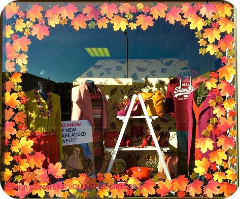 Back To School Window Display Retail, Fall Window Display Store Fronts, Autumn Window Display Retail, Fall Store Window Displays, Fall Store Displays, Fall Window Painting, Charity Shop Display Ideas, Fall Window Decorations, Boutique Window Displays