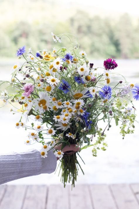 Flower Aesthetic White, White Flowers Aesthetic, White Flower Arrangement, Wildflower Bridal Bouquets, White Flower Arrangements, Wildflower Garden, Wildflower Bouquet, Meadow Flowers, Beautiful Bouquet Of Flowers