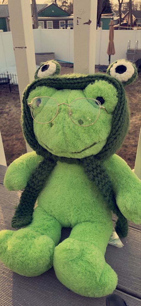 Build A Bear Frog Aesthetic Wallpaper, Frog Teddy Aesthetic, Frog Plushie Aesthetic, Build A Bear Frog Outfits, Build A Bear Frog Aesthetic, Alyssacore Aesthetic, Build A Bear Aesthetic, Frog With Hat, Frog Teddy