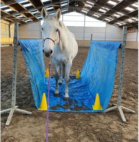 Horse Obstacle Course Ideas Diy, Horse Training Ground Work, Horse Obstacles, Horse Farm Ideas, Horse Lessons, Horse Arena, Horse Barn Designs, Horse Barn Plans, Horse Exercises