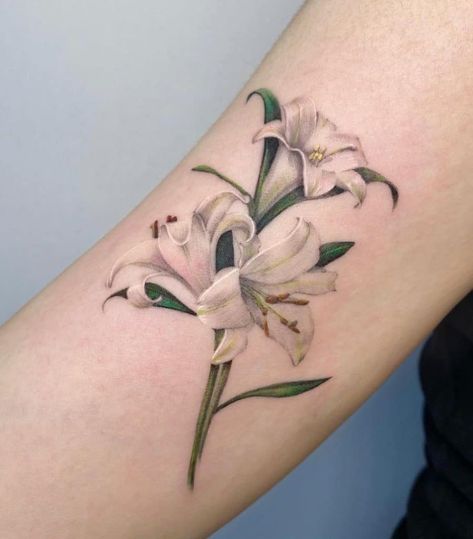 The Meanings Of Lily Tattoos: An Extensive Explanation White Lily Tattoo, Easter Lily Tattoo, Lily Flower Tattoo, Stargazer Lily Tattoo, Lily Tattoo Meaning, Water Lily Tattoos, Lillies Tattoo, Lily Tattoo Design, Lily Flower Tattoos