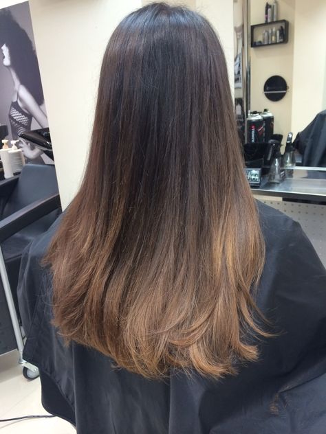 Brown Balayage Highlights On Black Hair, Natural Brown Ombre Hair, Caramel Ends On Dark Hair, Brown High Light On Black Hair, Natural Ombre Brunette, Natural Ombre Hair Brunette, Dark Brown Hair With Lighter Ends, Ombre On Light Brown Hair, Lighter Ends On Brown Hair