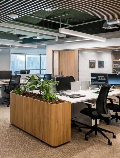 Citrosuco – Perkins&Will Corporate Office Inspiration, Office Greenery, Plant Ceiling, Biophilic Office, Workstation Design, Biophilic Interior, Workstations Design, Office Fit Out, Australian Interior Design