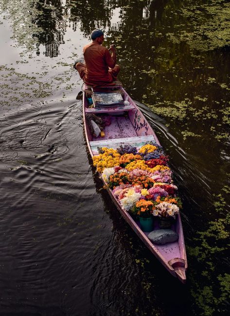 A journey through the singular beauty of Kashmir | House & Garden Kashmir House, Kashmir Culture, Beauty Of Kashmir, City Rats, Kashmir Trip, Kashmir India, Human Anatomy Art, Jammu And Kashmir, House Garden