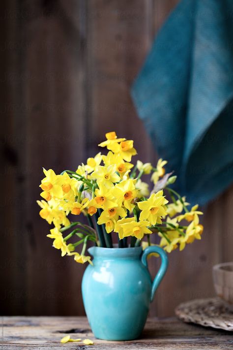 Jug of daffodils by Ruth Black  - Daffodil, Vase - Stocksy United Simple Spring Flower Arrangements, Daffodil Photography, Flower Arrangements Simple, Islamic Paintings, Vase Arrangements, 수채화 그림, Beautiful Flower Arrangements, Backyard Makeover, Flower Phone Wallpaper