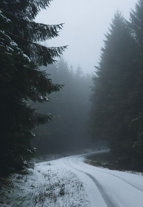 Moody Forest In Snow Perfect For Posters And Canvas Frozen Forest Aesthetic, Alaskan Photography, Snowy Forest Background, Winter Forest Aesthetic, Snow In Forest, Moody Scenery, Moody Forest, Dark Forest Aesthetic, Snow Place