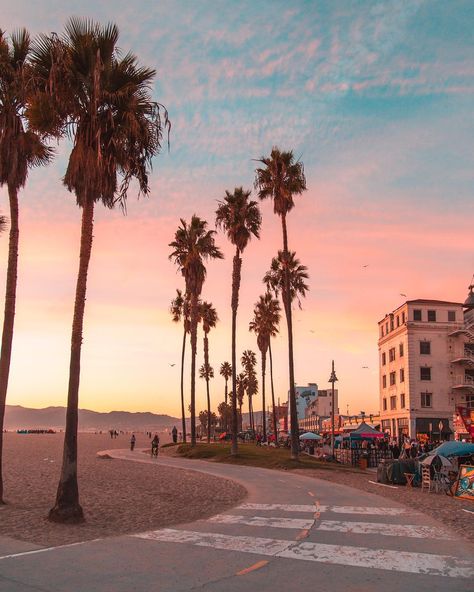 Pink sunset at Venice Beach, Los Angeles, California. #visitcalifornia #travel #wanderlust #california #losangeles #LA #westcoast #venice #venicebeach #santamonica #sunset Venice Beach, Santa Monica, Summer Time, Palm Trees, Venice, The Beach, Trees, Angeles, California