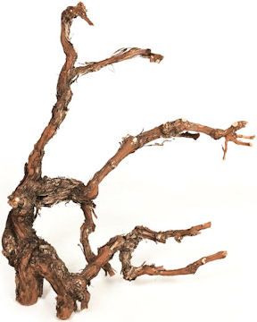 Buy dried branches, Buy Branches, dried branches for Sale Coxcomb Flowers, Oregano Flowers, Grapewood Branch, Dried Lavender Bunch, White Larkspur, Grape Vineyard, Vine And Branches, Larkspur Flower, Dried Wheat